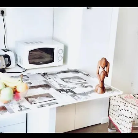 Luxury New Modern Apptmt In Center Of Apartment Paris
